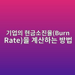 기업의 현금소진율(Burn Rate)을 계산하는 방법 8 eab8b0ec9785ec9d98 ed9884eab888ec868ceca784ec9ca8burn rateec9d84 eab384ec82b0ed9598eb8a94 ebb0a9ebb295 1789788084